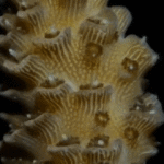 10 Reasons Why the Ocean’s Struggle is Real