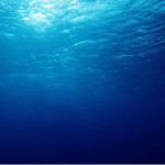 How is the deep sea so diverse?  The struggle is real for late 1900s ecologists