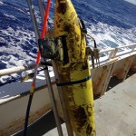 Was there an epic war or an epic romance between this robot and a squid?