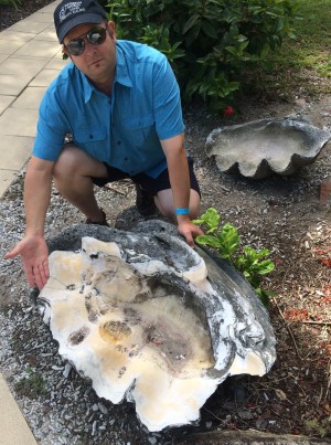 Medium-sized Giant Clam shells from an old exposed reef on Fitzroy Island, Queensland, Australia. Malacology Monday team member for scale.