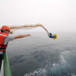 Follow along with Fukushima researchers