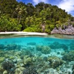 What the "Call of the Reef" is Telling Us