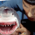 The Tension of Intention:  A Surfer, A Shark, A Fox, And A Grizzly