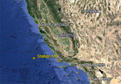 Station M is a long-term study site on the abyssal plain, about 220 kilometers (140 miles) off the Central California coast and 4,000 meters (13,100) feet below the ocean surface. Base image: Google Earth. From MBARI