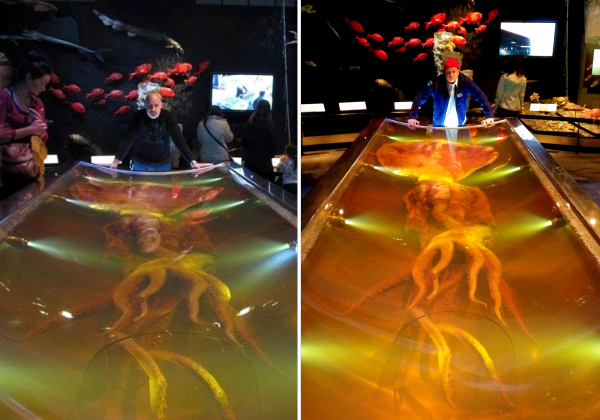 Who rocks the Colossal Squid better? Posed with the 2007 in the Te Papa Museum is Deep Sea News creator and kahuna Dr. Craig R. McClain (left) and DSN new kid and Southern Hemisphere explorer Dr. Douglas J. Long